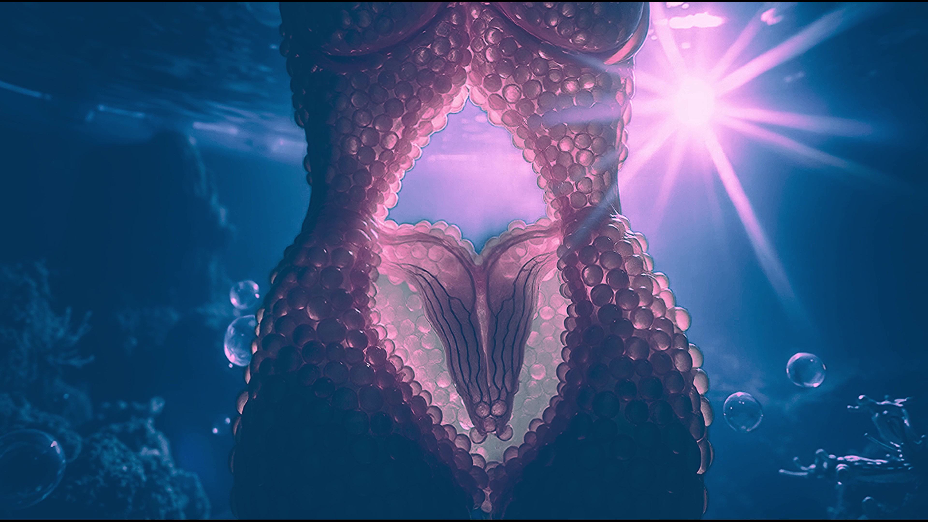Plastic Transfigurations of Venus